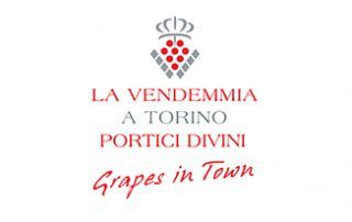 Logo cliente SoloA